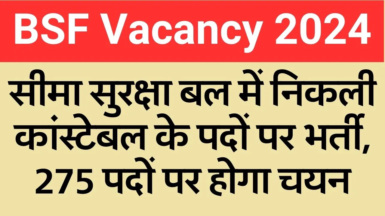 BSF Vacancy 2024